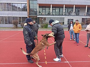 Angriff Hund Schüler der 3AS (Hundestaffel Steiermark)